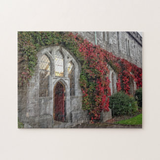 Puzzle University College Cork Fall Colours Irlande Puzzl