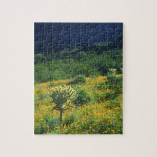 Puzzle USA, Arizona, Organ Pipe Cactus National