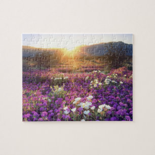 Puzzle USA, Californie, Anza-Borrego Desert State Park.2