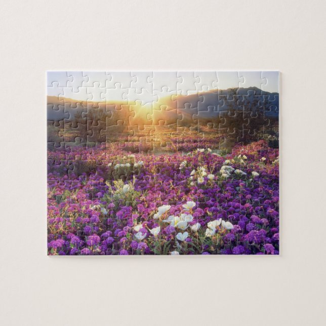 Puzzle USA, Californie, Anza-Borrego Desert State Park.2 (Horizontal)
