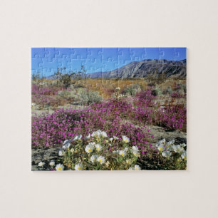 Puzzle USA, Californie, Anza-Borrego DSP. Soirée de dune
