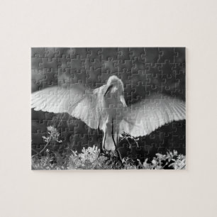 Puzzle USA, Floride, Great Egret (Ardea alba) infrarouge 