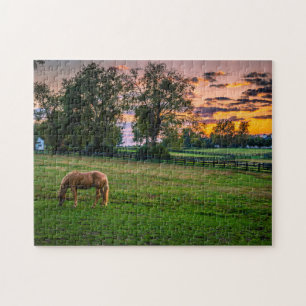 Puzzle USA, Lexington, Kentucky. Cheval solitaire au couc
