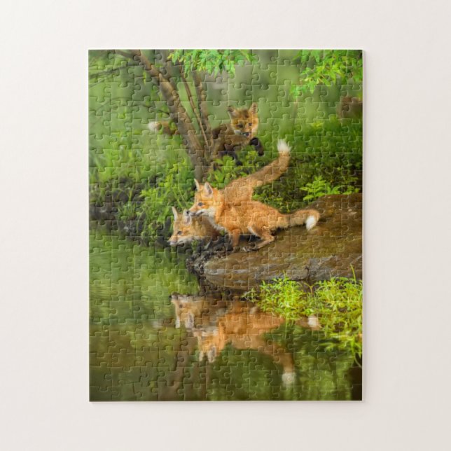 Puzzle USA, Minnesota, Sandstone, Minnesota Wildlife (Vertical)