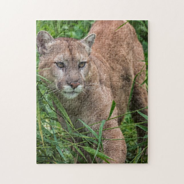 Puzzle USA, Minnesota, Sandstone, Minnesota Wildlife (Vertical)
