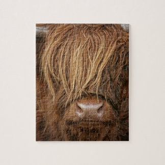 Puzzle Vache des montagnes écossaise - Ecosse