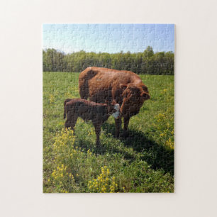 Puzzle Vache et veau d'amour maternel