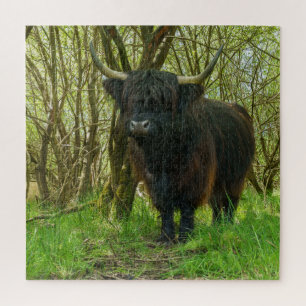 Puzzle Vache noire Highland