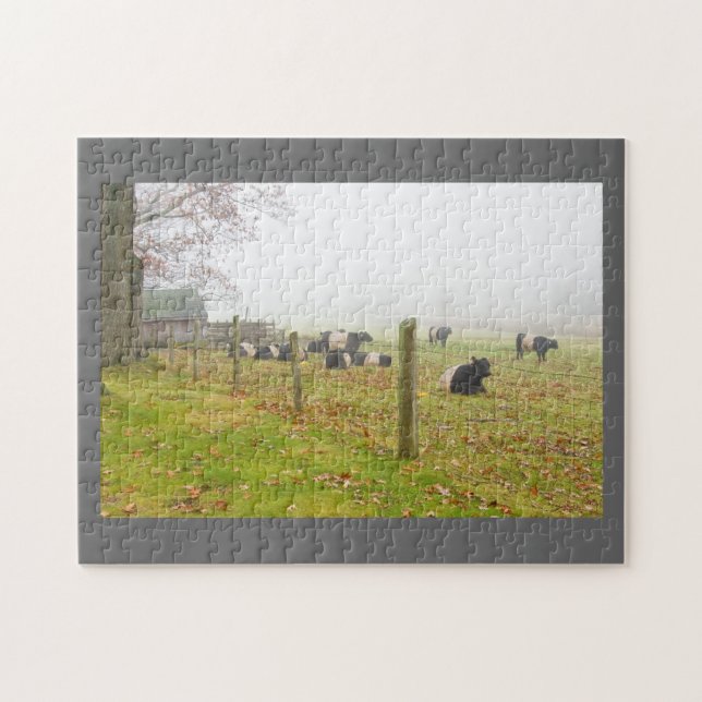 Puzzle Vaches ceinturées à Galloway dans Rockport Maine (Horizontal)