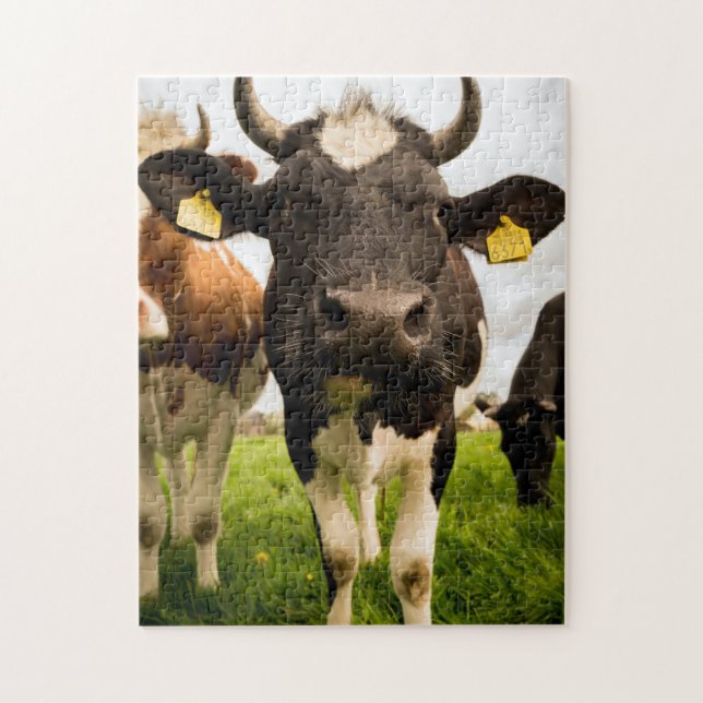 Puzzle Vaches dans le champ (Vertical)