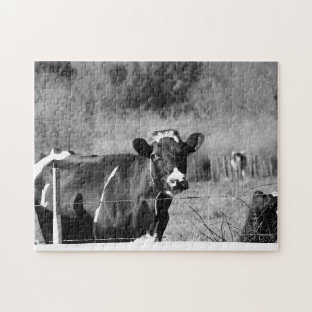 Puzzle Vaches Holstein curieuses noires et blanches en pâ (Horizontal)