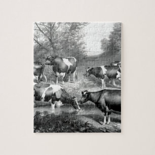 Puzzle Vaches libres Holstein vaches frey