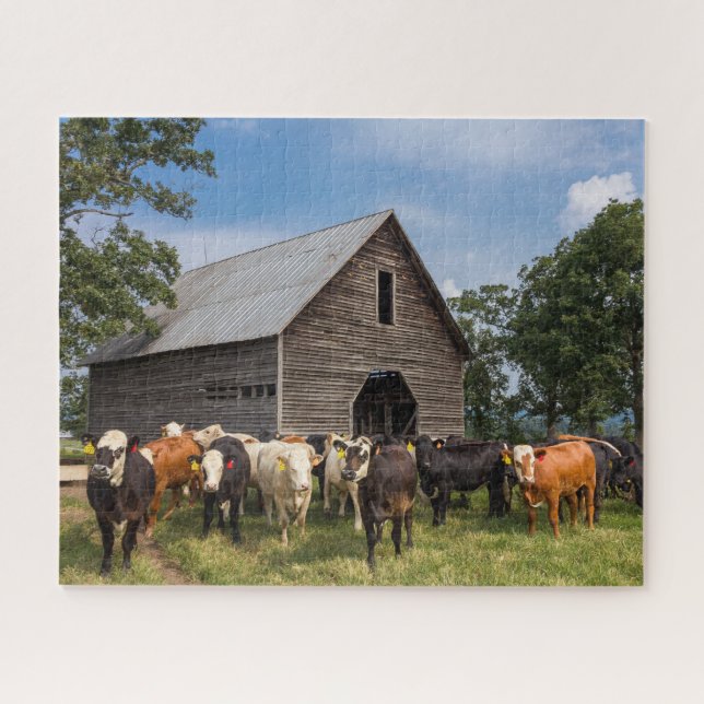 Puzzle vaches par la grange (Horizontal)
