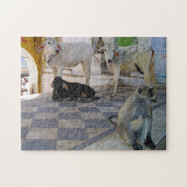Puzzle Vaches saintes Inde. (Horizontal)