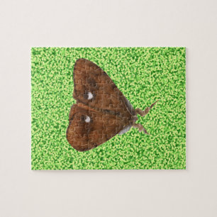 Puzzle Vapourer Moth