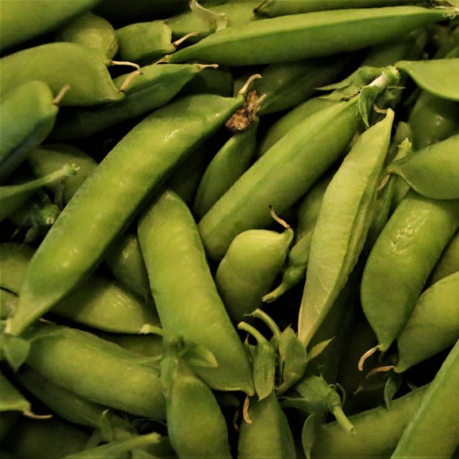 Puzzle Vegan Garden Pea (Créateur téléchargé)