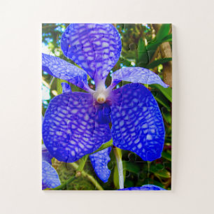 Puzzle Veines Bleues Orchidée Vanda pour la sensibilisa