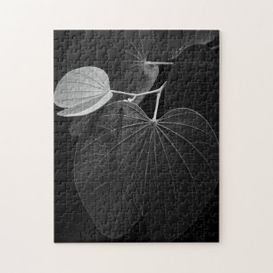 Puzzle Veines d'une feuille