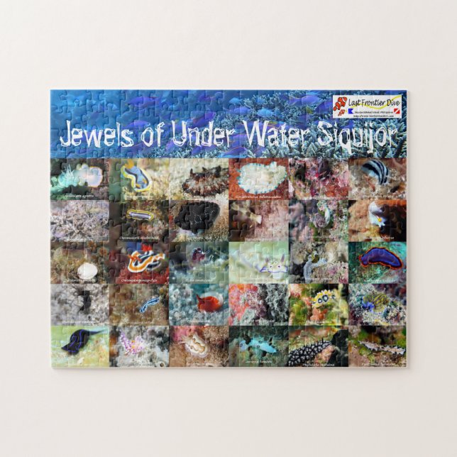 Puzzle Version anglaise : Jews of Under Water Siquijor (Horizontal)