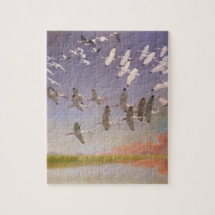 Puzzle Vestige d'Ibis survolant les zones humides, les oi