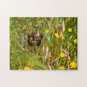 Puzzle Veuve Skimmer.