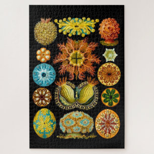 Puzzle vie marine impression de créatures marines