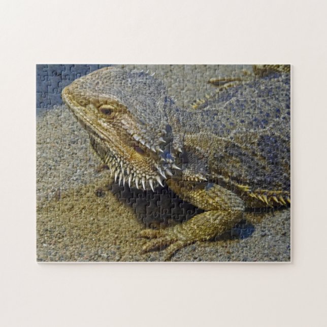 Puzzle Vie sous le feu - dragon barbu (Horizontal)
