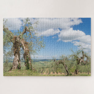 Puzzle Vieux oliviers dans un paysage toscan