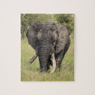 Puzzle Vieux taureau d'éléphant africain - défense cas