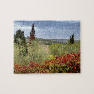 Puzzle Vignoble près de Montalcino, Toscane, Italie