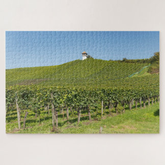 Puzzle Vignobles de Meersburg