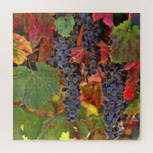 Puzzle Vin Raisin de récolte