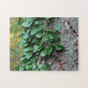 Puzzle Vin Vert Feuillu Cultivant Sur L'Arbre Nature