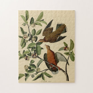Puzzle Vintage Audubon deuil Dove Peinture d'oiseaux