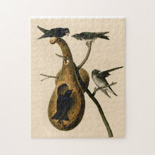 Puzzle Vintage Audubon Purple Martin Peinture d'oiseaux C