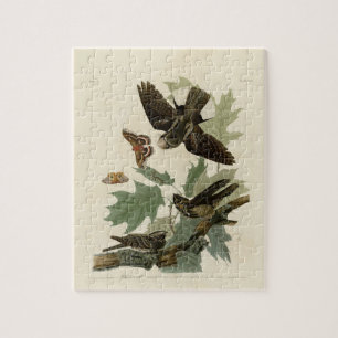 Puzzle Vintage Audubon Whip-poor-will Painting Gift
