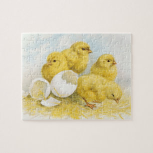 Puzzle Vintage Baby Chickens