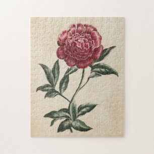 Puzzle Vintage de la pivoine végétale