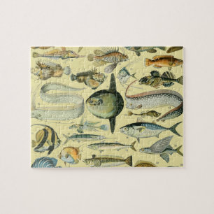 Puzzle Vintage Fish Scientific Fishing Art