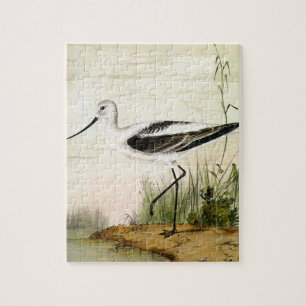 Puzzle Vintage Marine Life Shorebirds, Avocet Birds