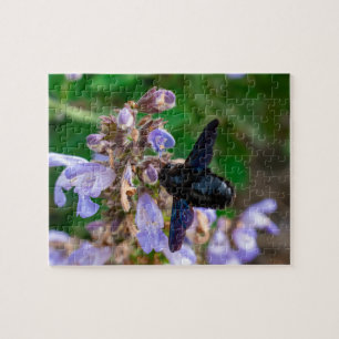 Puzzle Violacée de Xylocopa