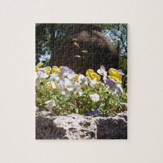 Puzzle Violas Dans Un Auge De Pierre.