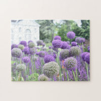 violet Allium Garden Kew Gardens Londres Royaume-U