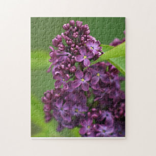 Puzzle violet Lilac