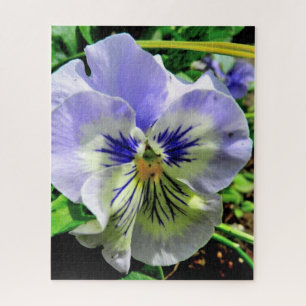 PUZZLE VIOLET PANSY