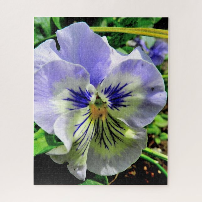 PUZZLE VIOLET PANSY (Vertical)