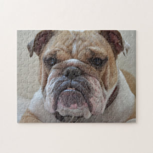 Puzzle Visage de Bulldog anglais