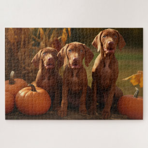Puzzle Vizsla chiot Automne Délice Citrouille