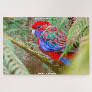 Puzzle Voeux d'anniversaire Rosella Parrot