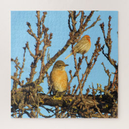 Puzzle - Vögel in Zweigen
